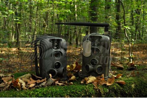 Camera Traps 的图像结果