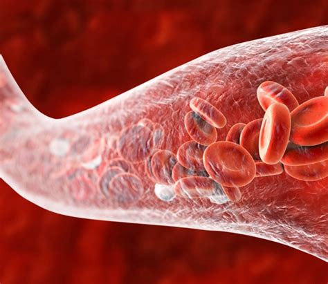 Infrared Socks | Promote Blood Circulation | Reduce Foot Pain