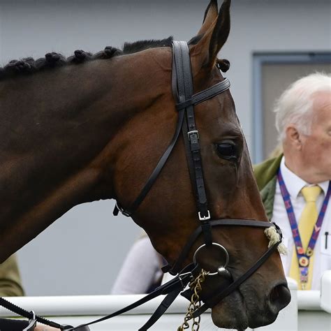 No Mean Feat - Racehorse Ownership