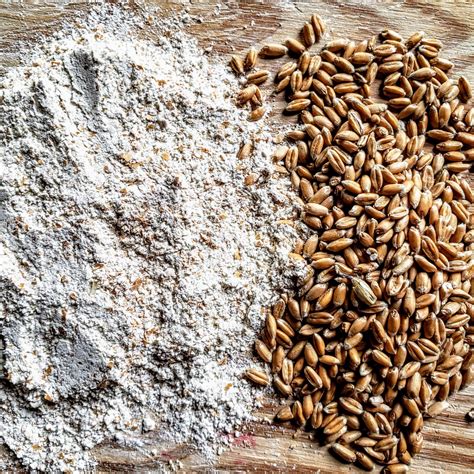 Whole Grain Flour Taste at James Velarde blog