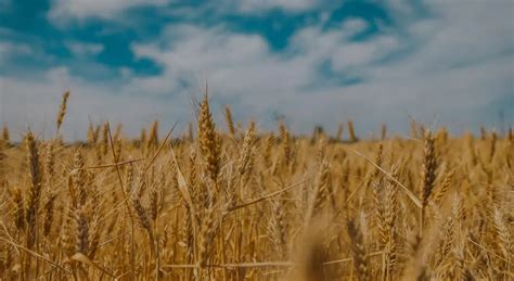 Spitzer-Miller Funeral Home | Aberdeen, SD Funeral Home & Cremation