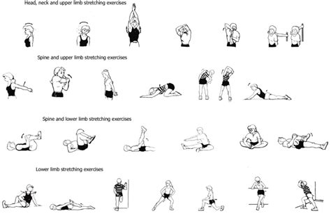 Type of Exercise 的图像结果
