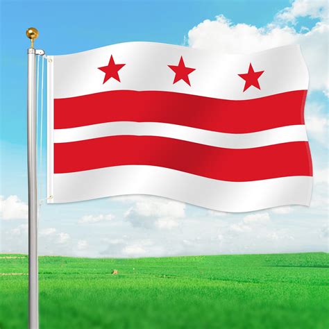 Dc State Flag