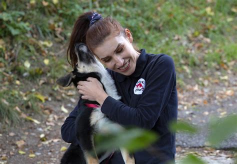 Stray Animals: Pets Without a Home - FOUR PAWS International - Animal ...