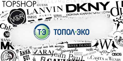 ГК "ТОПОЛ-ЭКО": история создания и успеха бренда
