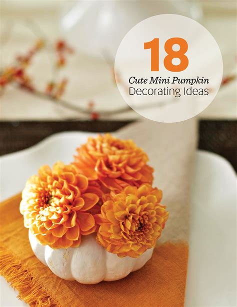 20 mini pumpkin decorating ideas To Make Your Home Festive
