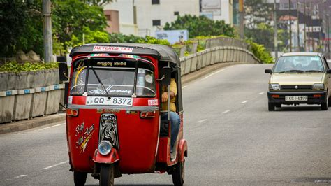 Create Multiple Choice Questions 的图像结果