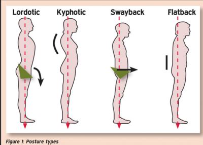 Different Types of Posture 的图像结果