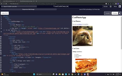 Image result for Freecodecamp HTML Lesson 4