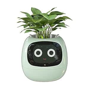 Masdio Smart Flowerpots, with Artificial Intelligence, Time Temperature ...
