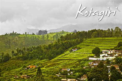 Kotagiri - JungleKey.in Image