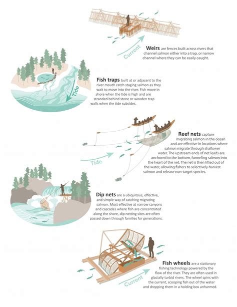 Unveil the Ancient Wisdom: Indigenous Techniques for Sustainable Hunting, Fishing, and Trapping