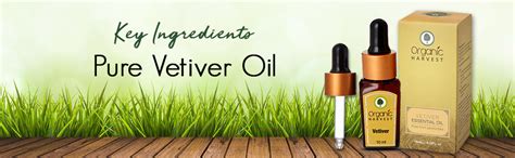 Organic Harvest Vetiver Essential Oil, Removes Scars & Dark Spots ...
