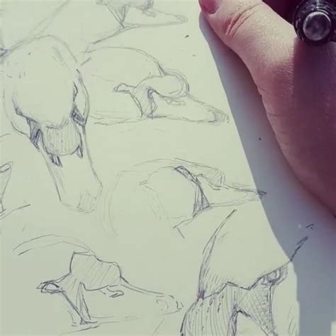 Sketching Graph of Quadratic Graph Using Shifting Rule 的图像结果