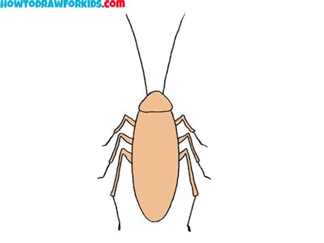 Image result for How to Draw a Cockroach Step by Step