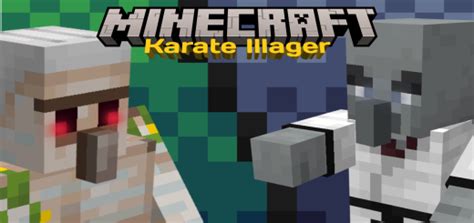 Image result for Karate Mod Minecraft