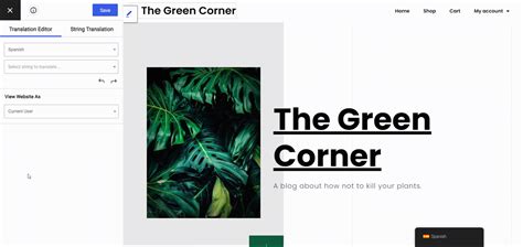 Image result for Localization vs Translation