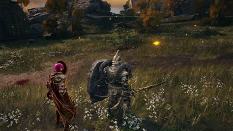 Magic Training Exploit 的图像结果