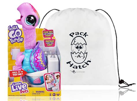 Buy Gotta Go Turdle! Shelbert The Interactive Rainbow Turtle! Wiggles ...