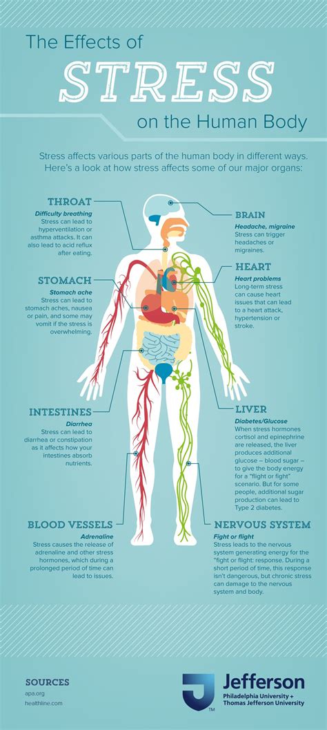 Effects Of Stress