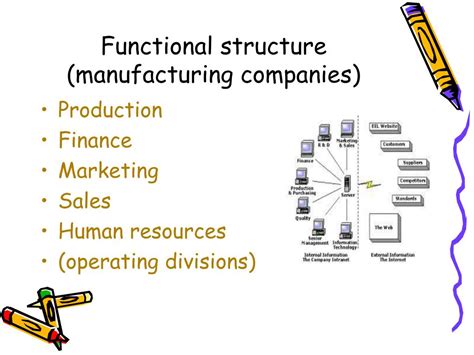 Function Structure of Company 的图像结果