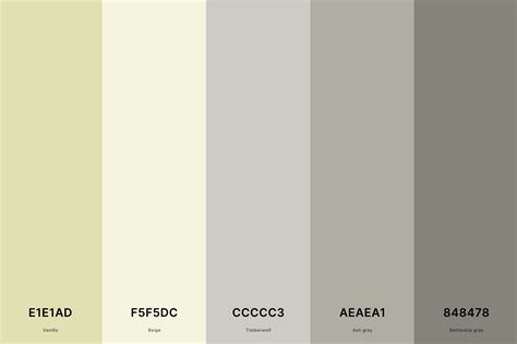 25+ Best Gray Color Palettes with Names and Hex Codes – CreativeBooster