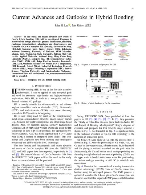 Image result for Shell Line Patterns