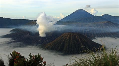 Earthquakes And Volcanoes Article