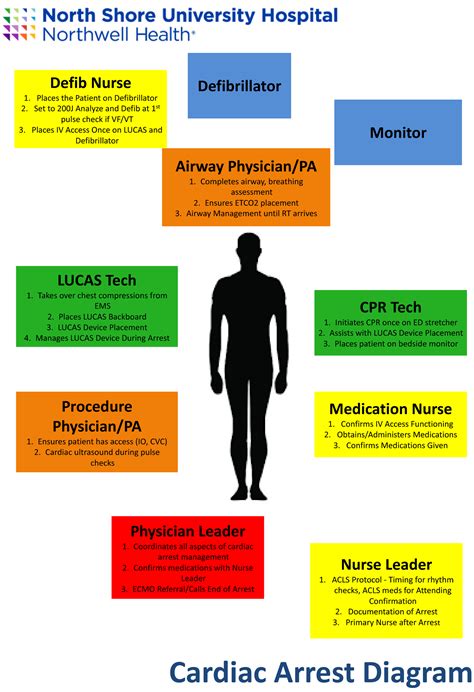 What Is A Resuscitation Triangle Role at Tina Philpott blog