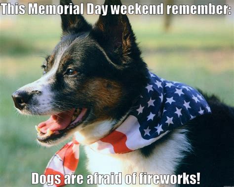 Hilarious Memorial Day Memes