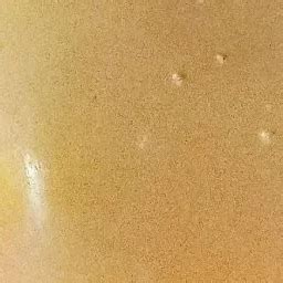 Best Top Rated Restaurant in Jhansi, Uttar Pradesh, India | Yappe.in