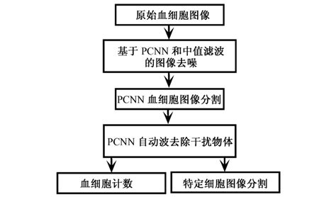 Algorithm Basics 的图像结果