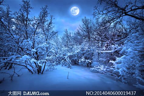 겨울 아름다운 눈 사진 무료 다운로드 - Lovepik