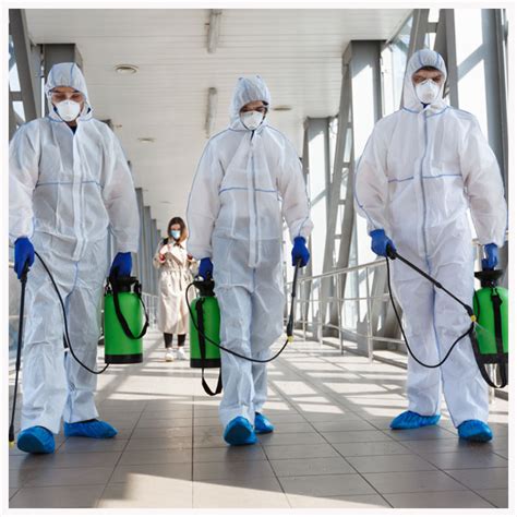 Best pest control in Koramangala|Marathahalli|bangalore|Whitefield ...