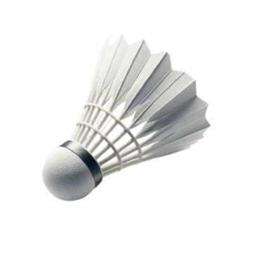Badminton PNG 的图像结果