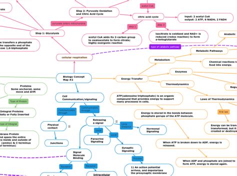 Concept Map Biology 的图像结果