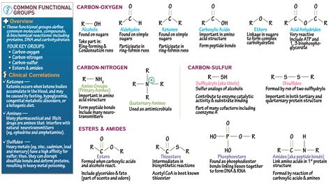 Functional Group Tutorial 的图像结果