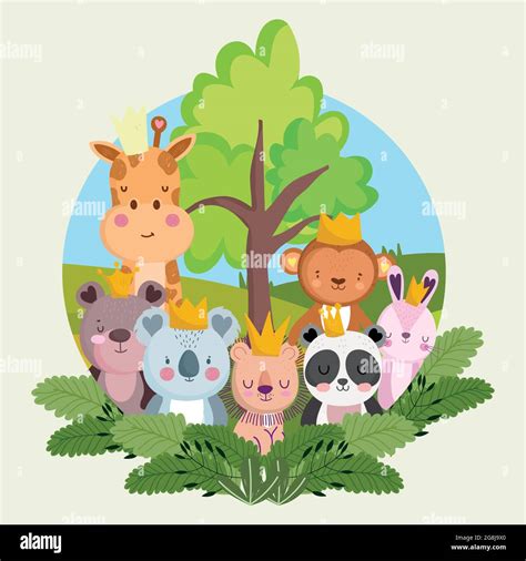 Animal Cartoons 的图像结果