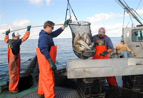 Showcasing the DNR: Reducing pressure on Saginaw Bay yellow perch