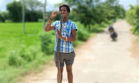 Telangana: పాముతో చెలగాటం.. నోట్లో పెట్టుకుని వీడియో.. చివరికి ...