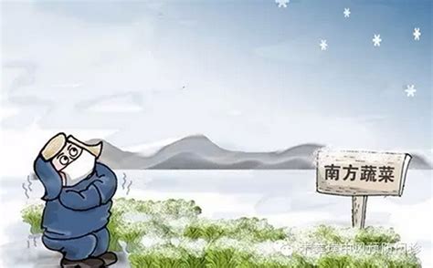 漫天飞雪“倒春寒”，多省发布蓝色预警_凤凰网视频_凤凰网