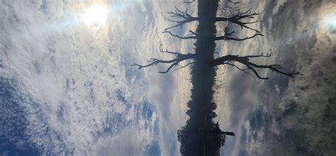 COBDOGLA STATION CARAVAN PARK - Campground Reviews & Photos - Tripadvisor