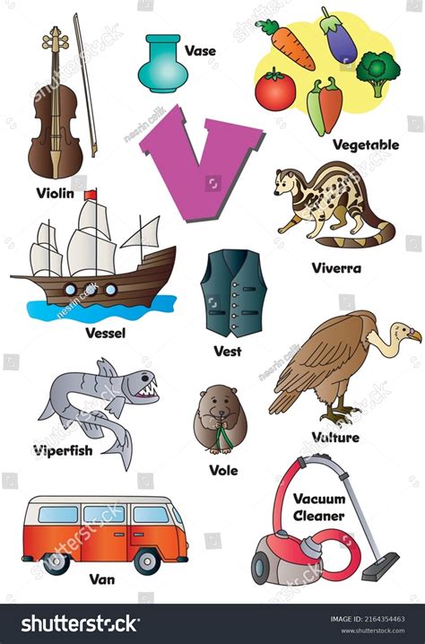 Objects That Start With The Letter V Z ALPHABET OBJECTS BY LETTER B