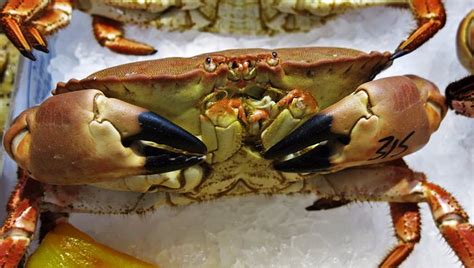 DONCASTER FISH MARKET (2026) All You Need to Know BEFORE You Go (with ...