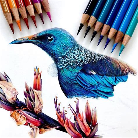 Colored Pencils Drawing