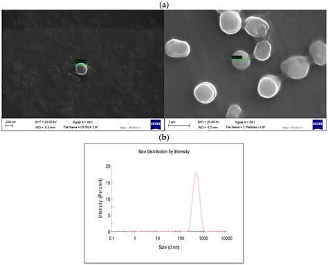 Poly-Gamma-Glutamic Acid (γ-PGA)-Based Encapsulation of Adenovirus to ...