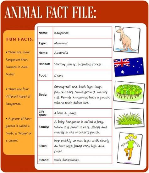 Image result for Writing Fact File Format