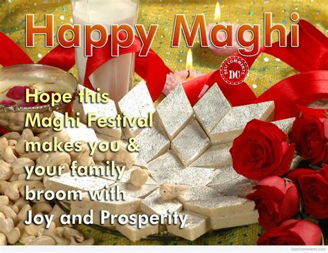 20+ Maghi Pictures, Images, Photos