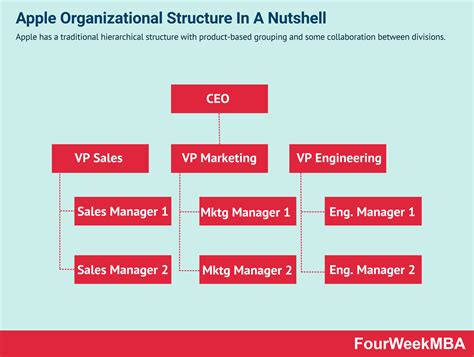 Organizational Structure 的图像结果