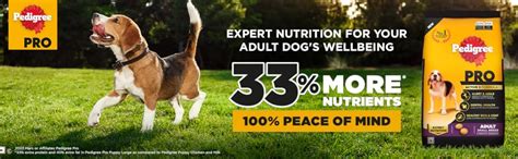 Pedigree Pro Adult Dry Chicken Dog Food For Small Breed Dog (9 Months ...